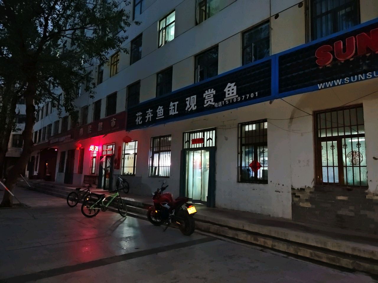 花卉鱼缸观赏鱼