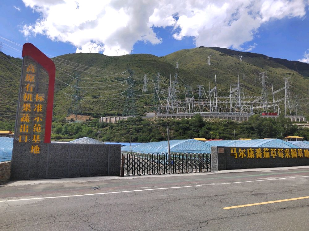 马尔康番茄草莓采摘基地