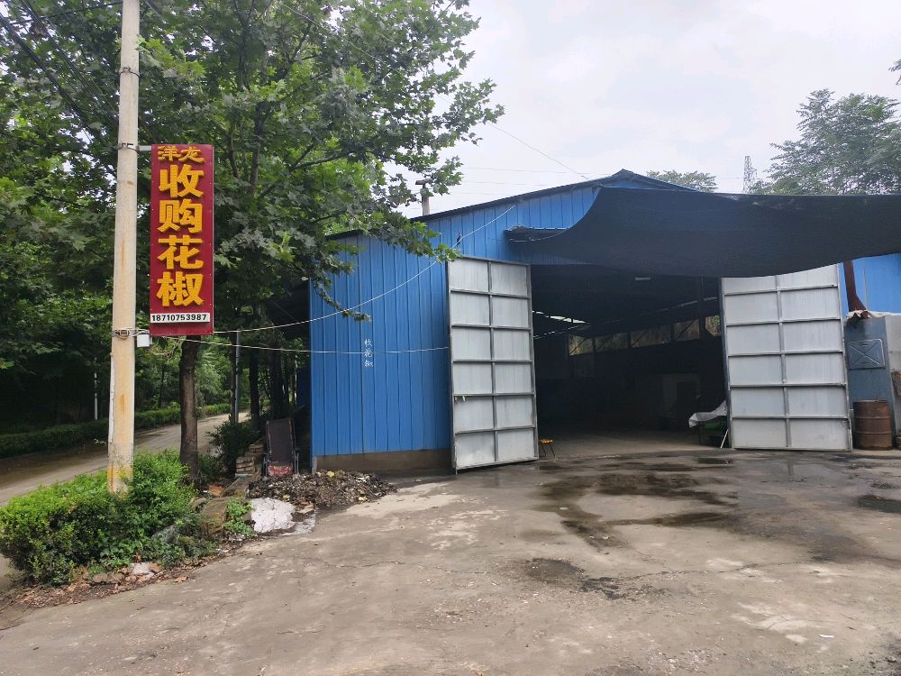 洋龙收购花椒