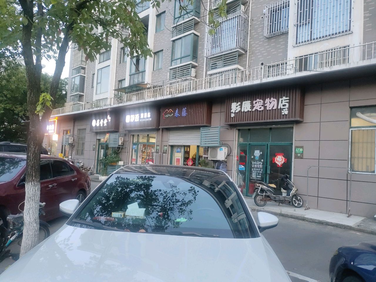 泉龙渔具
