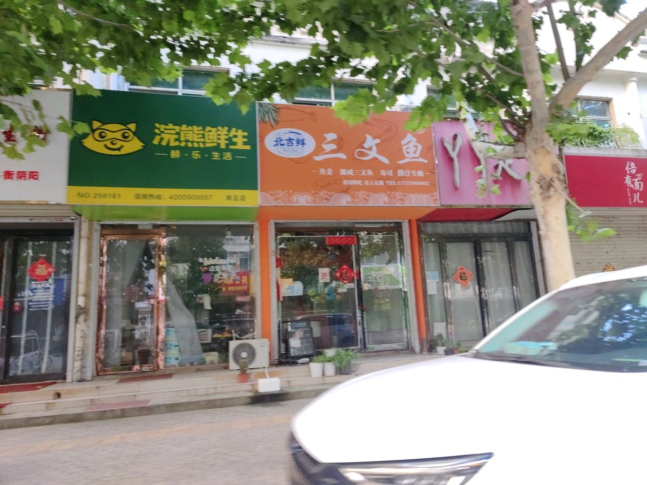 北吉鲜三文鱼