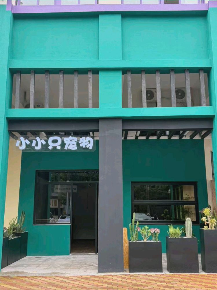 小小只宠物