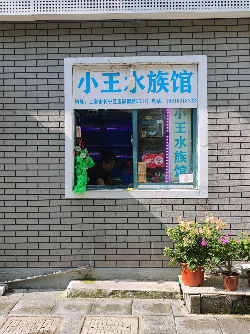 小王水族馆(玉屏南路店)