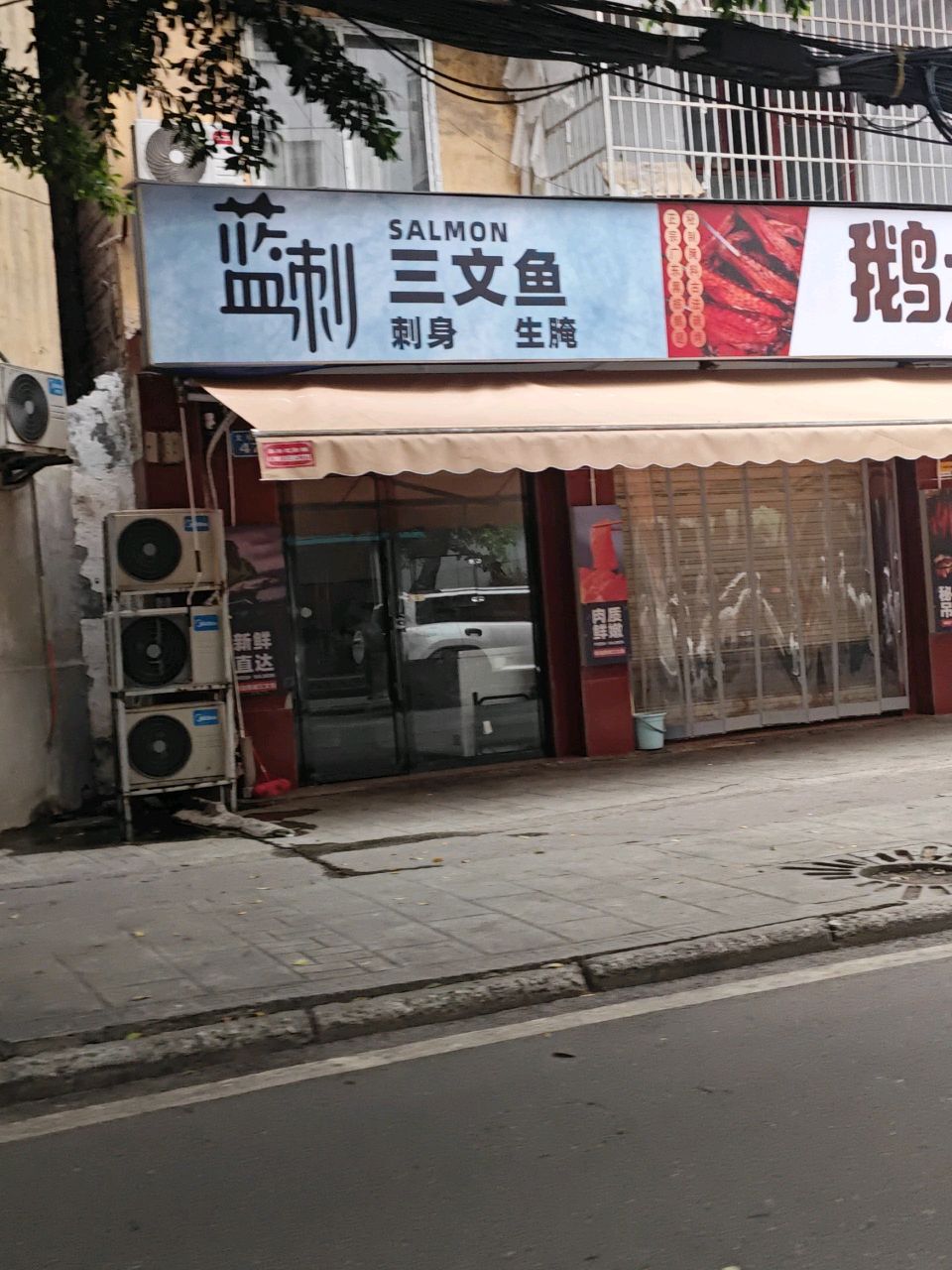 蓝刺三文鱼