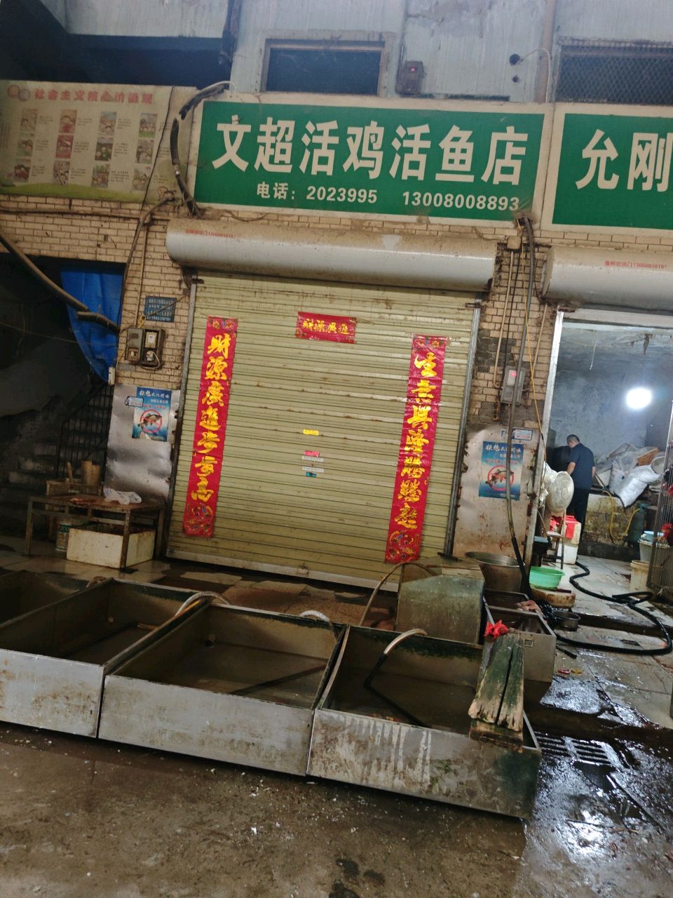 文超活鸡活鱼店