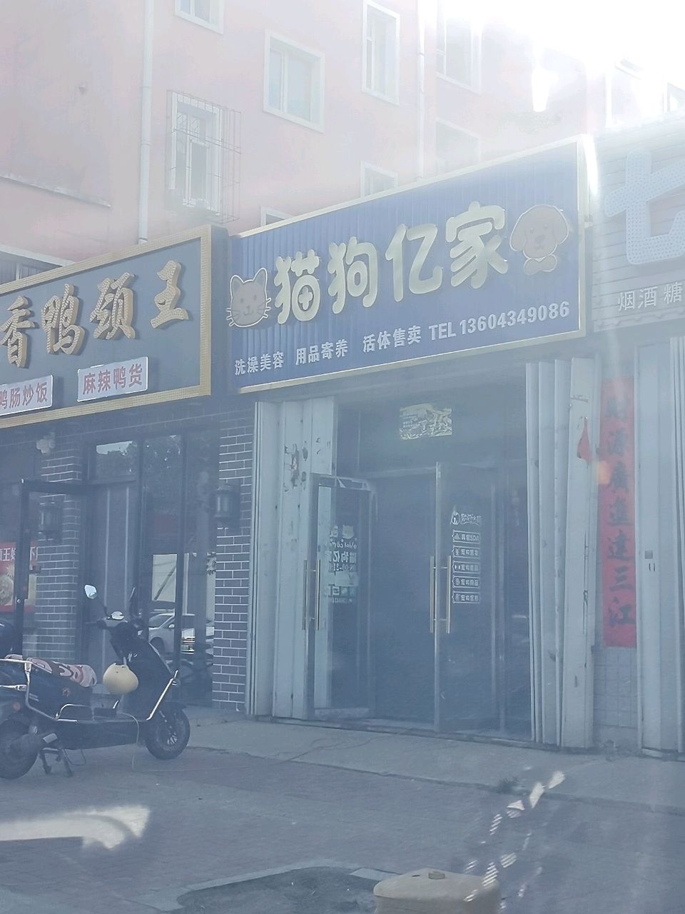猫狗亿家