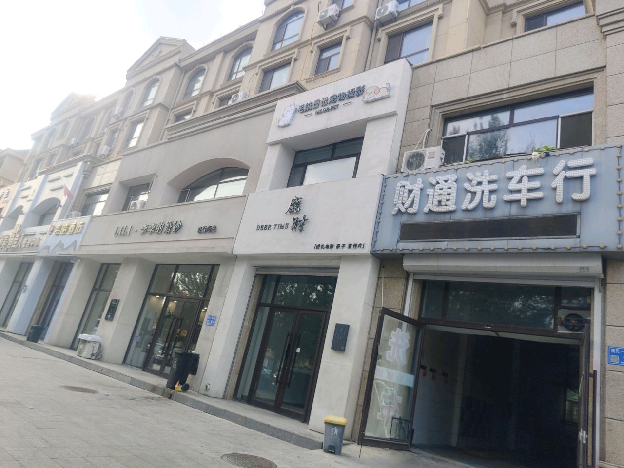 毛绒日记宠物摄影