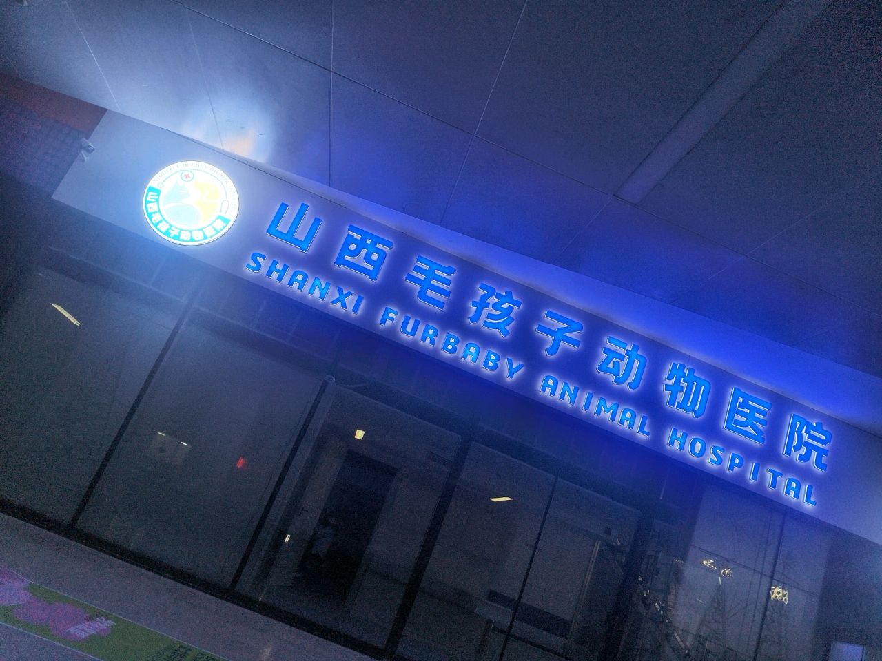 山西毛孩子动物医院