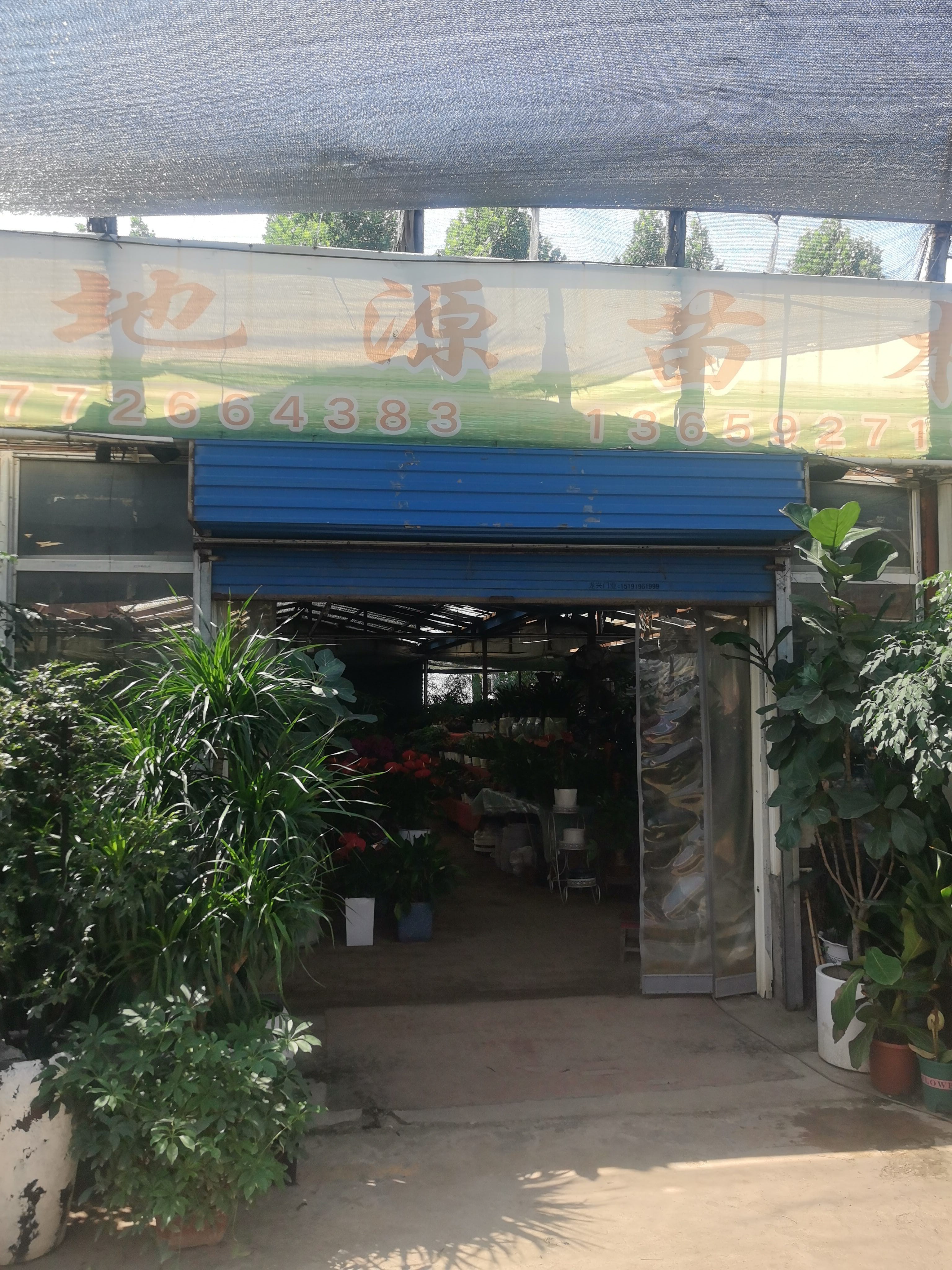 宝鸡市绿地源苗木花卉园