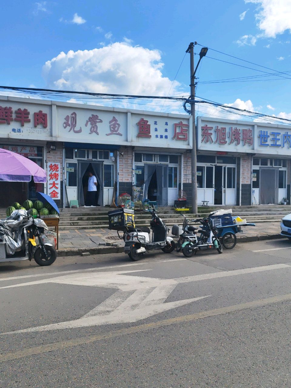 观赏鱼