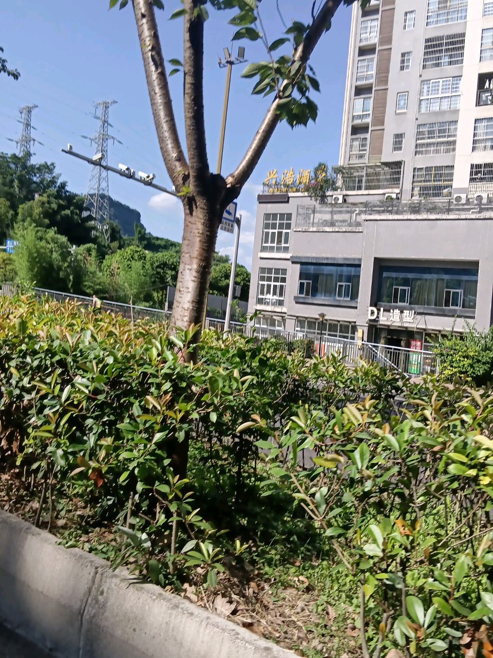 DL造型(汉都华府店)