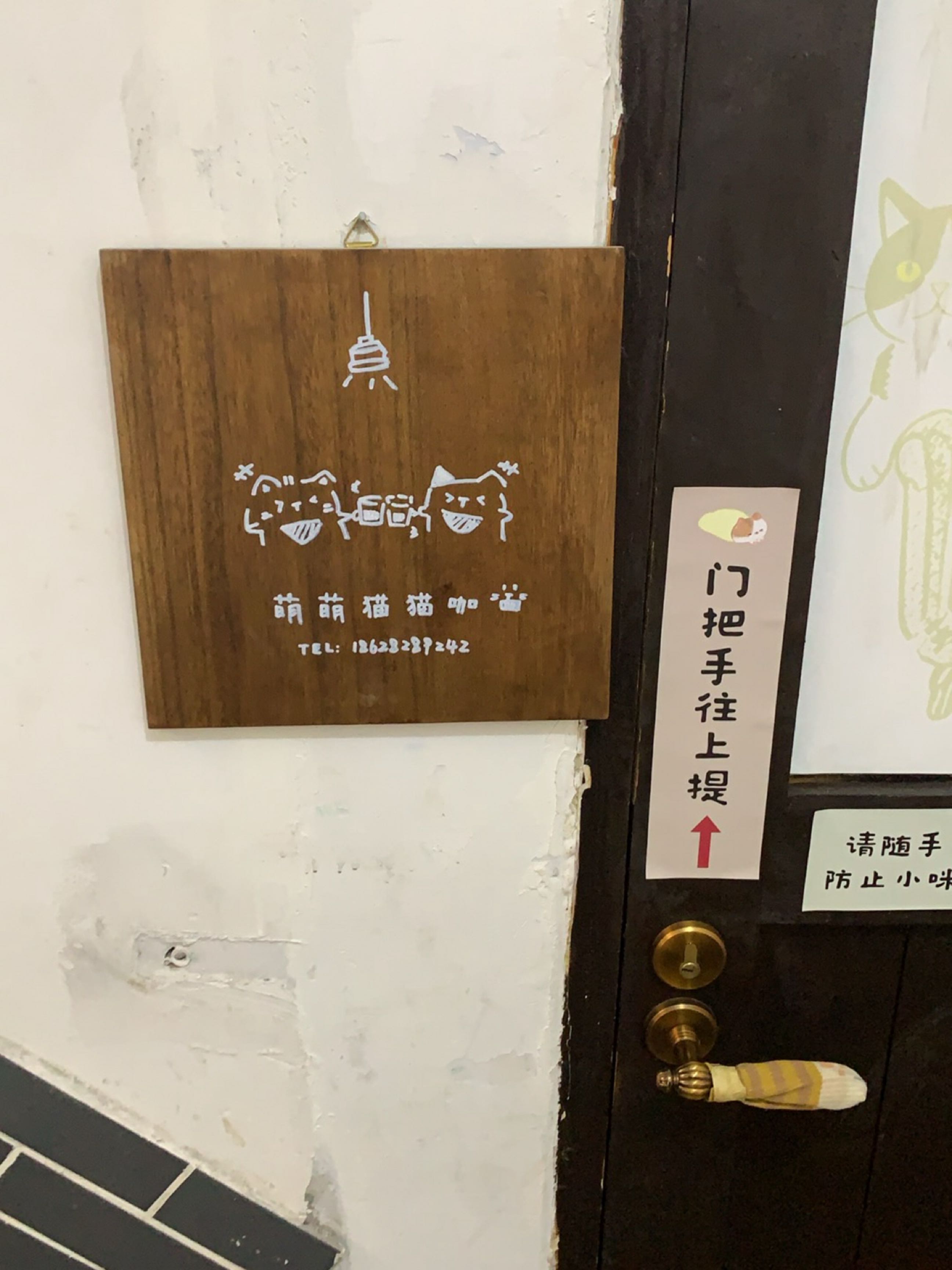 萌萌猫·猫咖