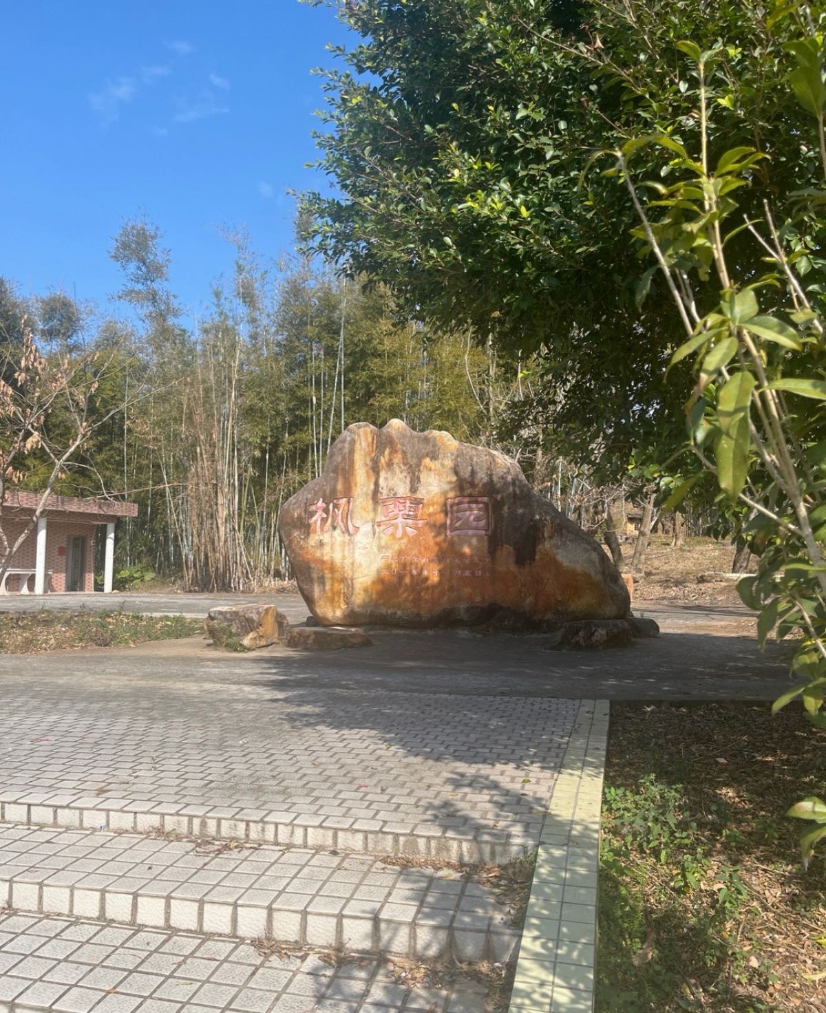 韶关市新丰县横坑村枫栗园