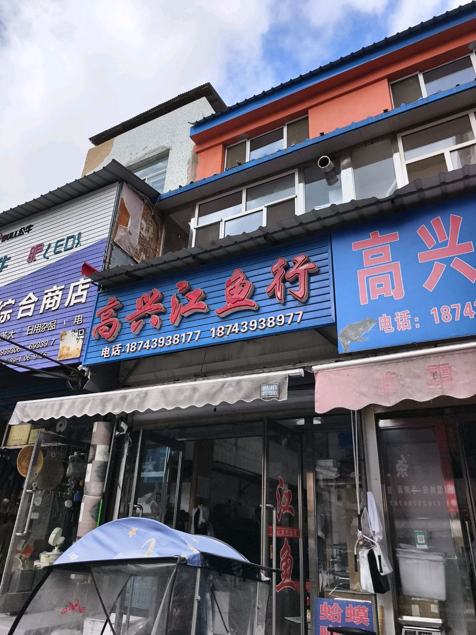 高兴江鱼行