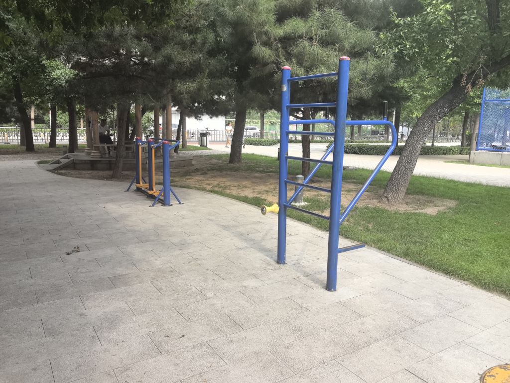 体育公园