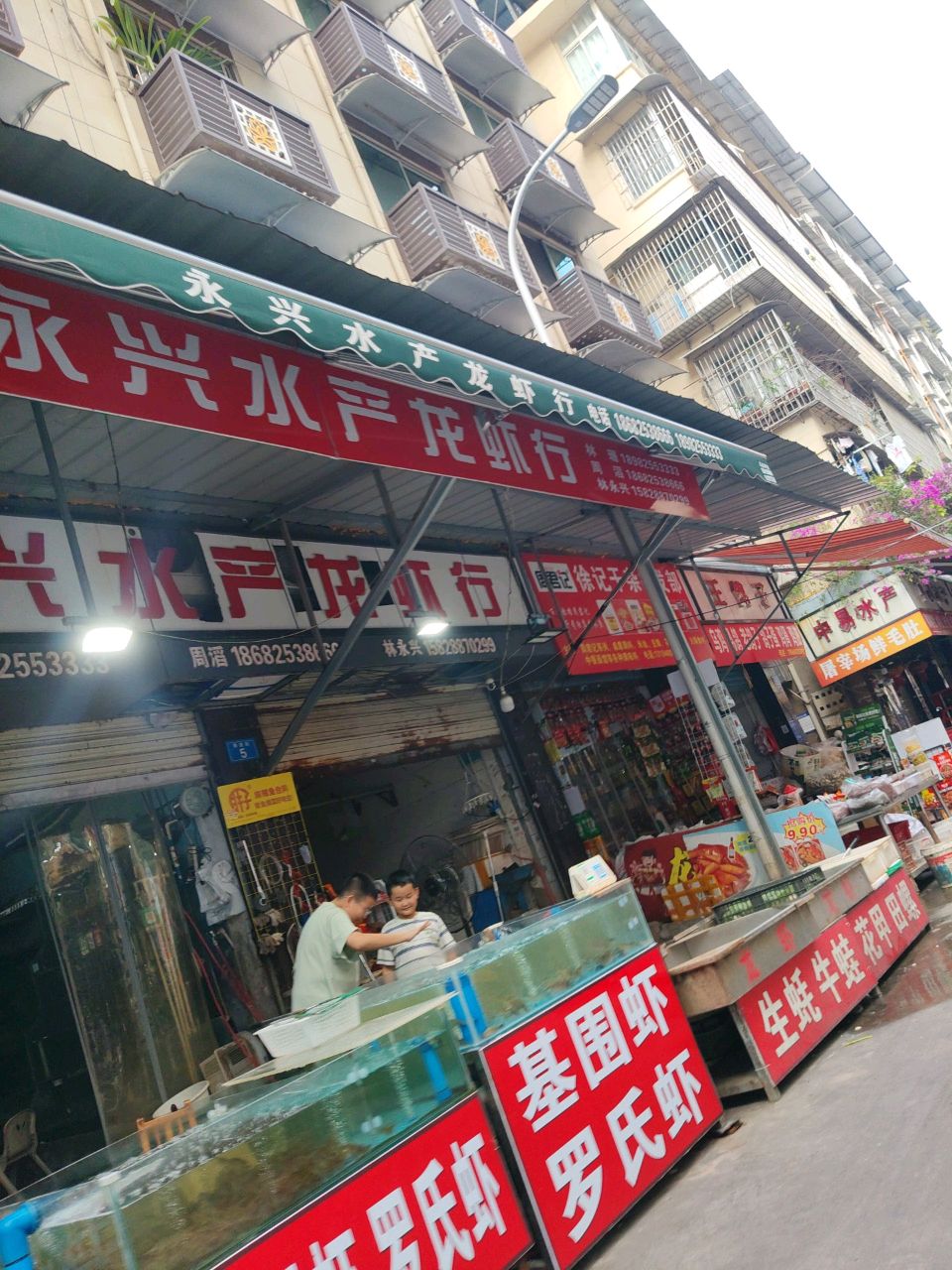 中易水产批发