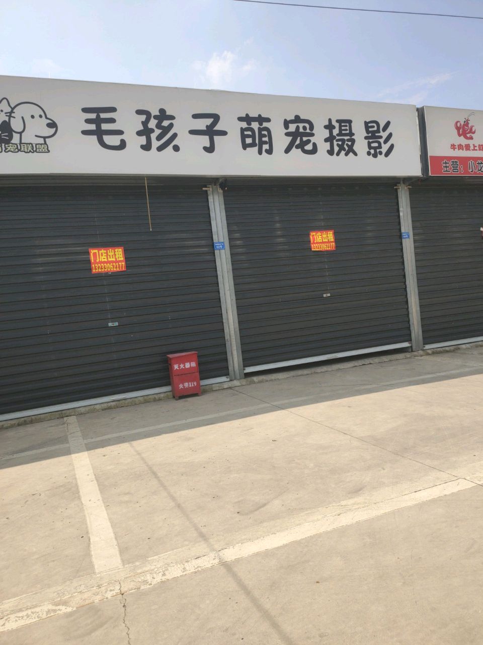 毛孩子萌宠摄影