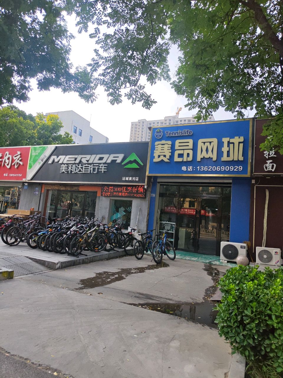 赛昂网球