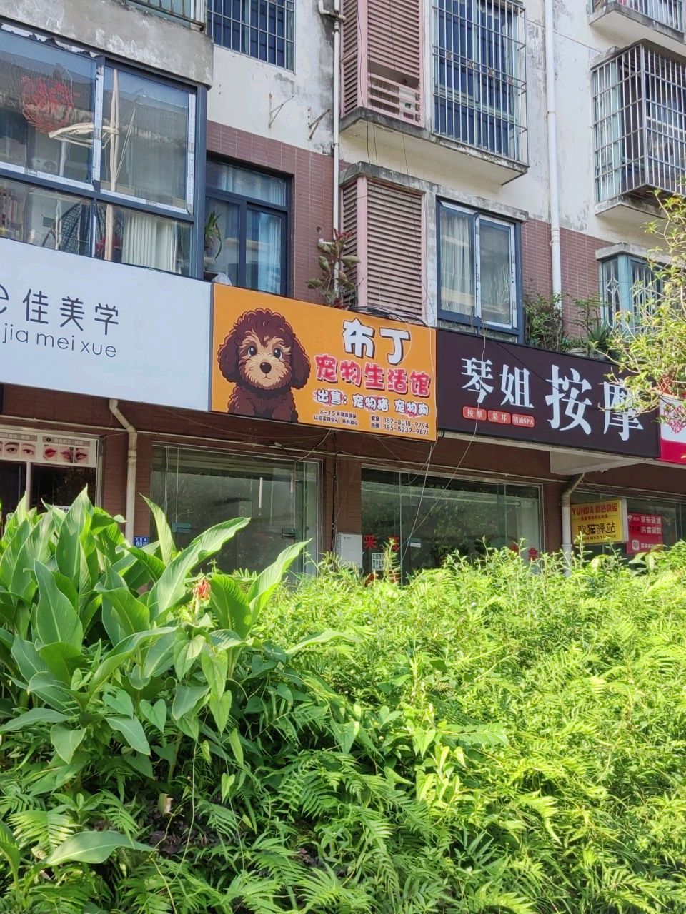 琴姐按摩