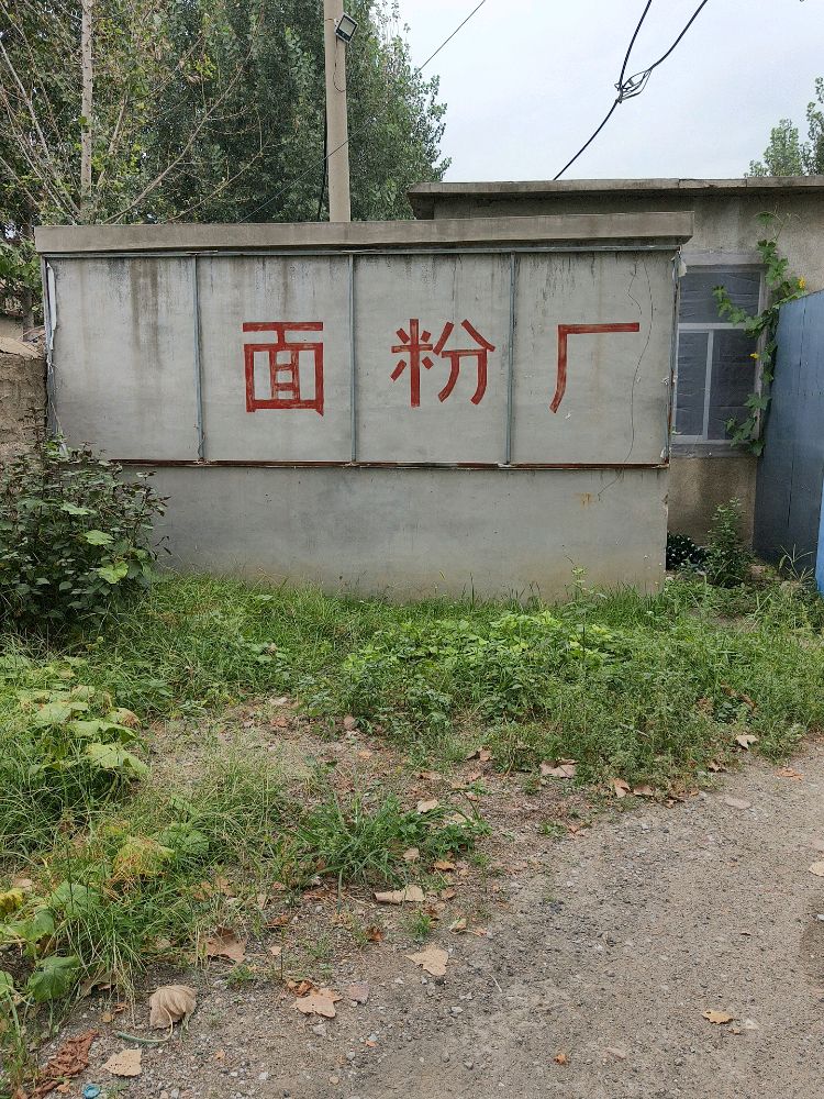 面粉厂