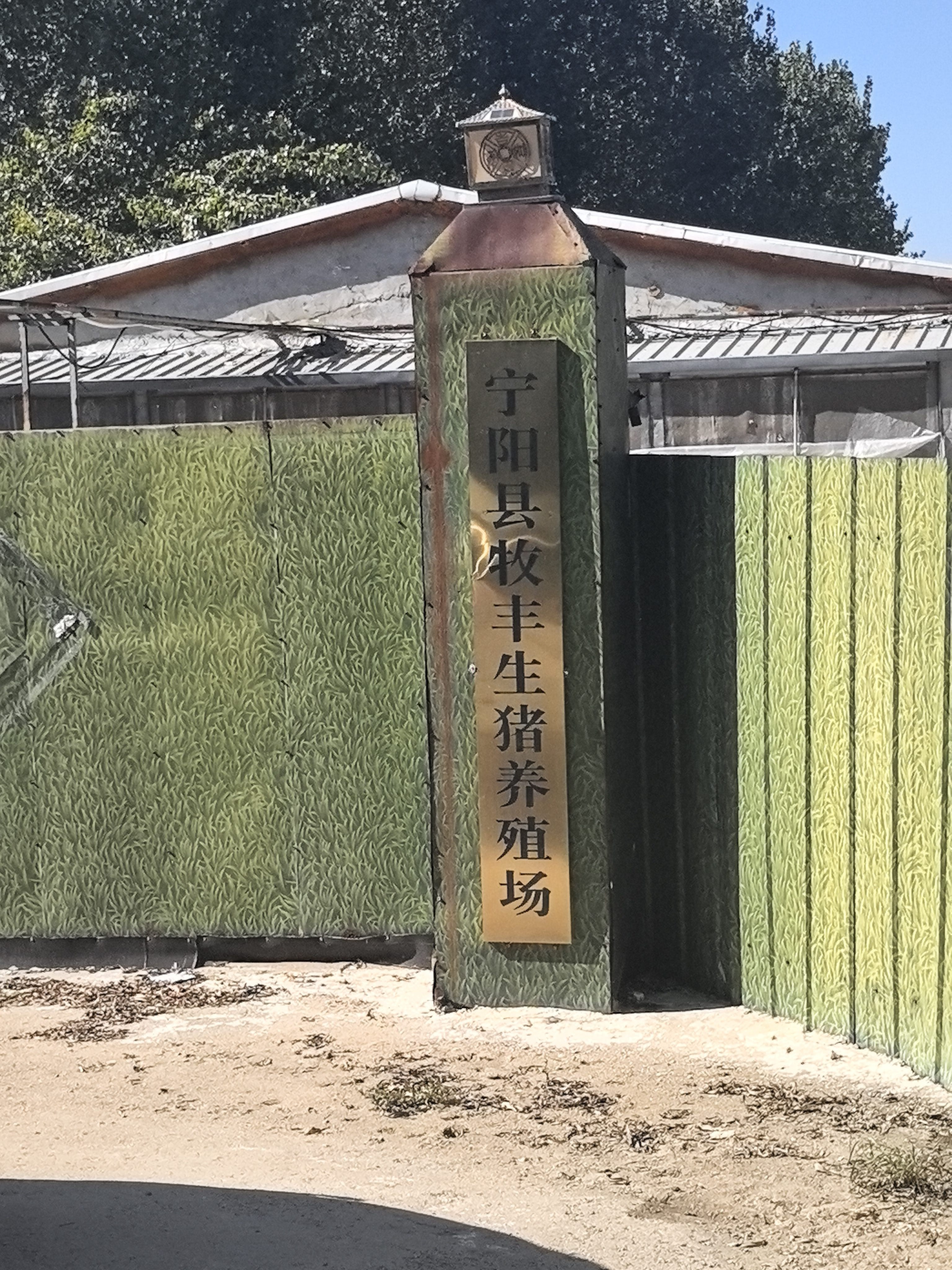 宁阳县牧丰生猪养殖场