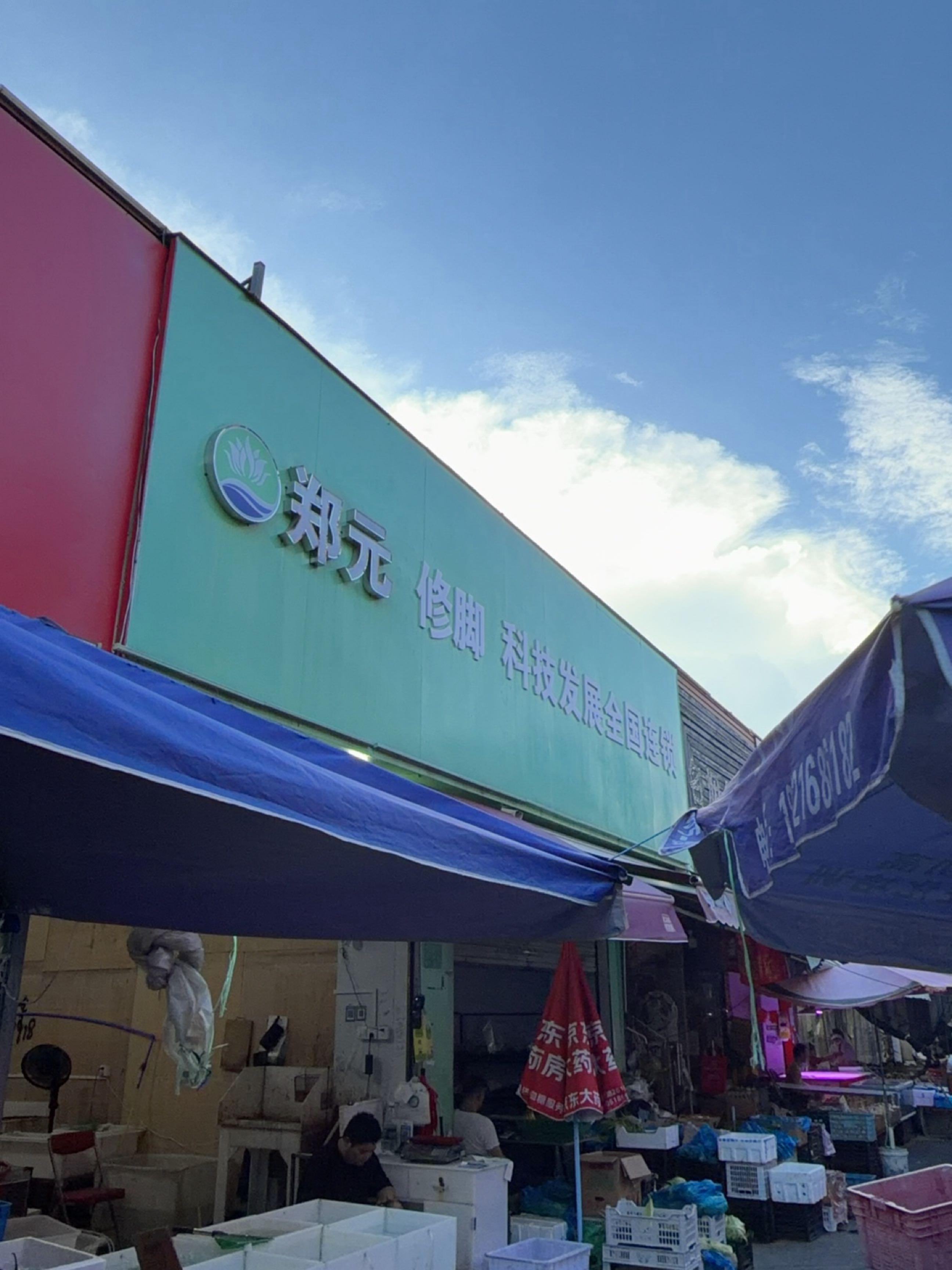 郑元修脚