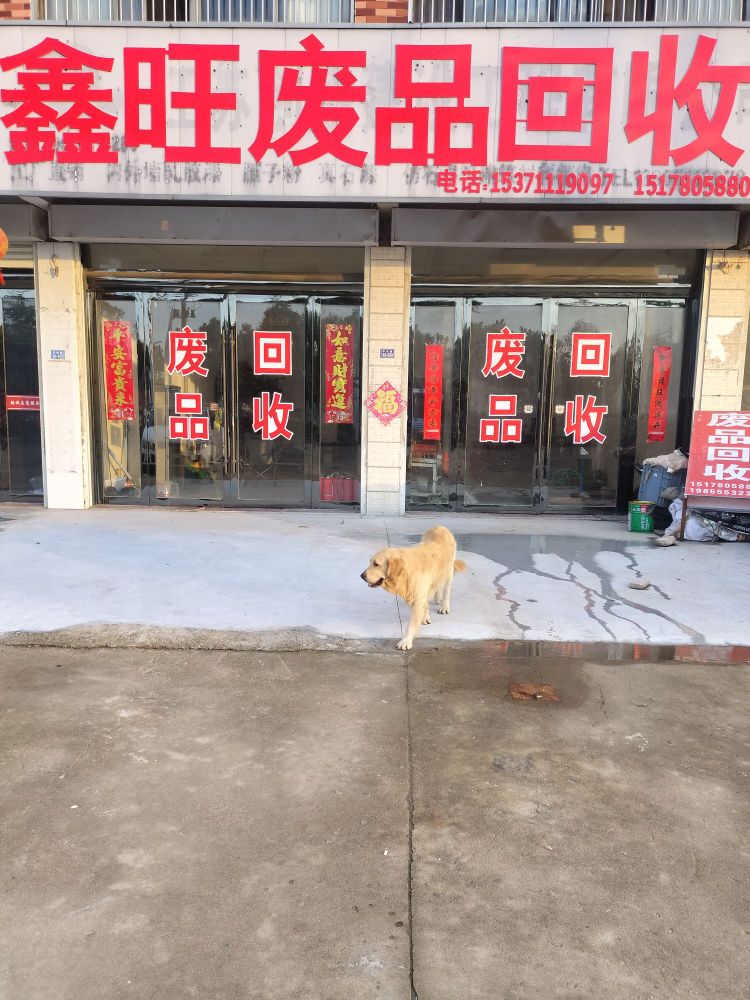 鑫旺废品回收
