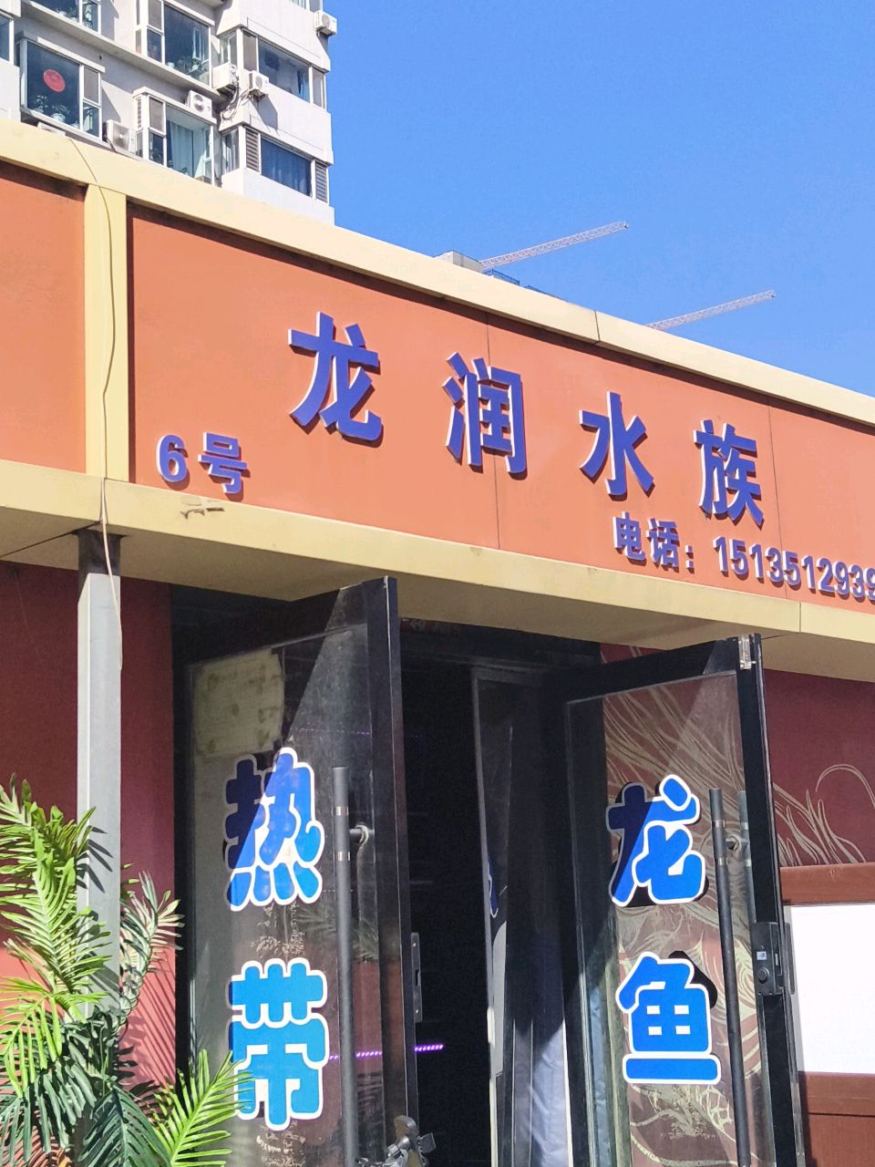 龙润水族(亲贤花鸟鱼虫市场店)