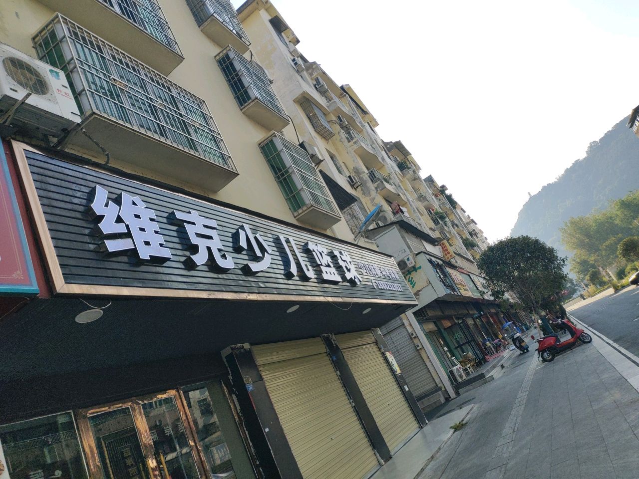 维克少儿篮球