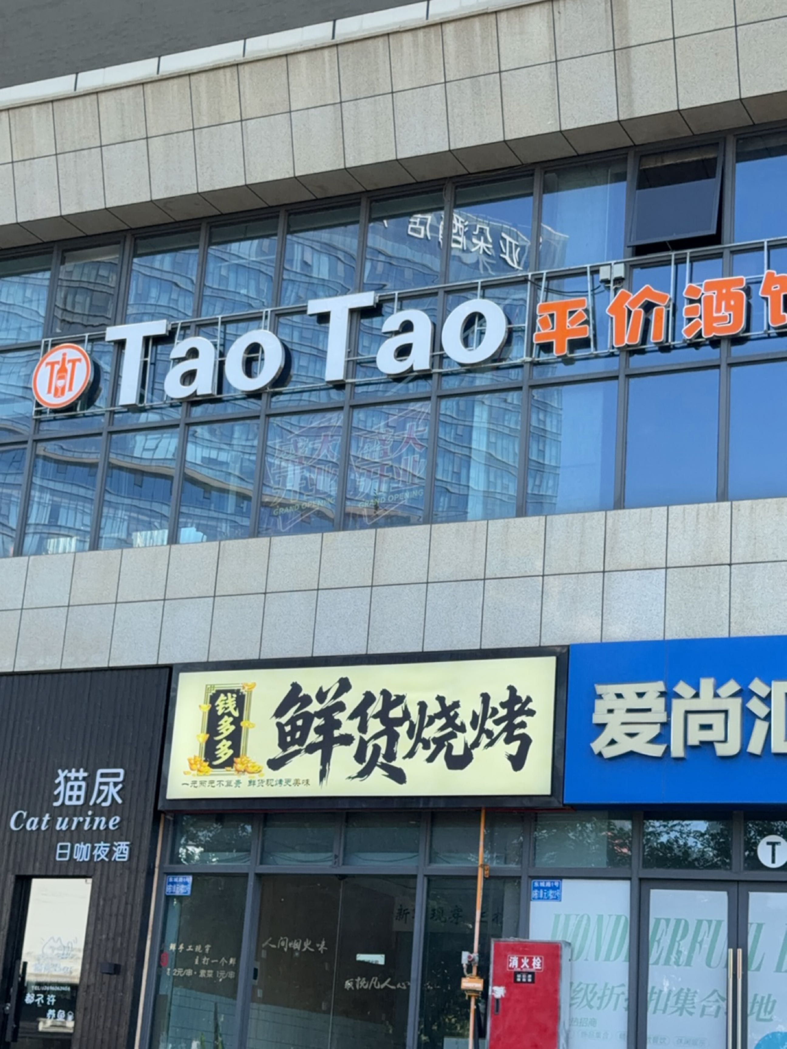 猫尿精酿小酒馆