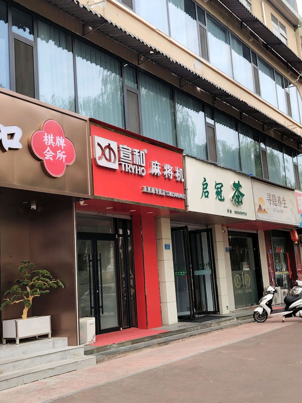 启冠茶