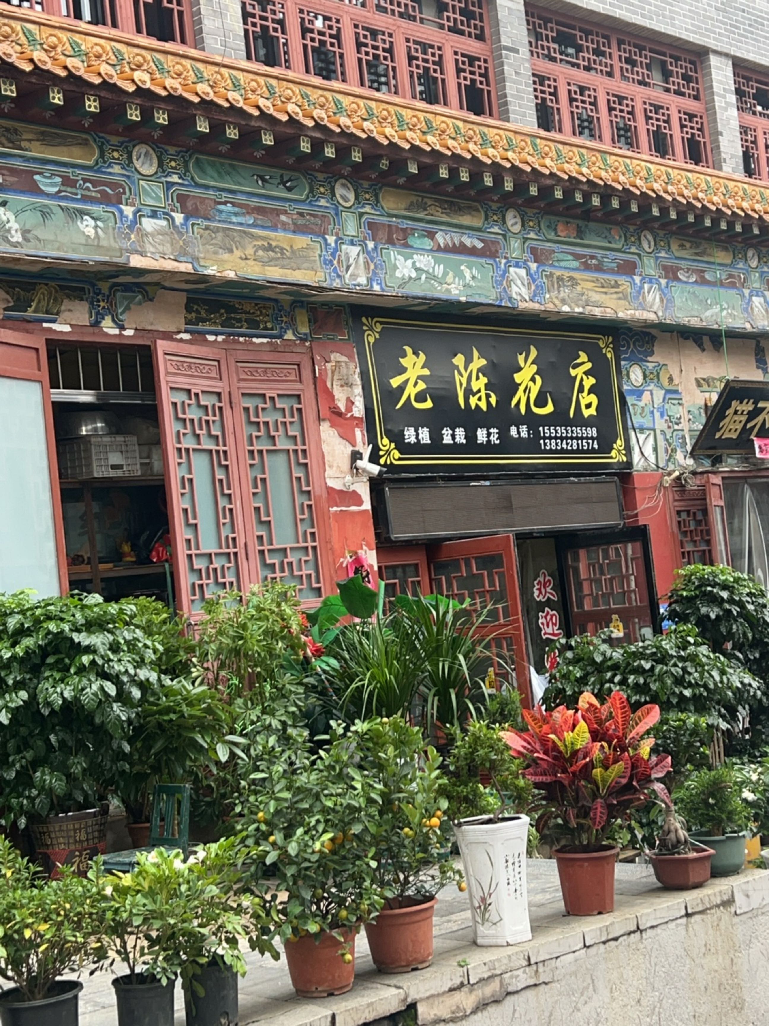 老陈花店