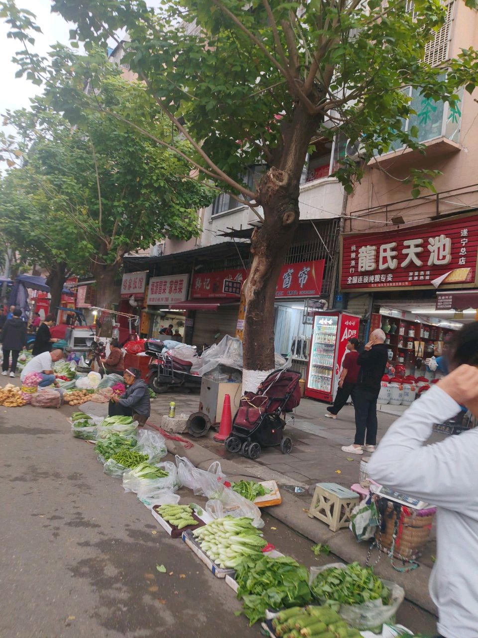 龙氏天池纯粮酒行(遂宁总店)