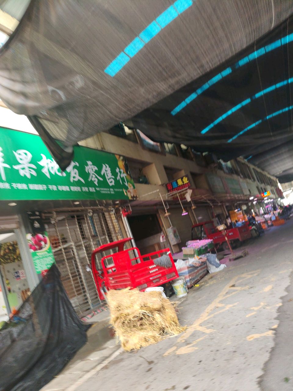 彩连果业