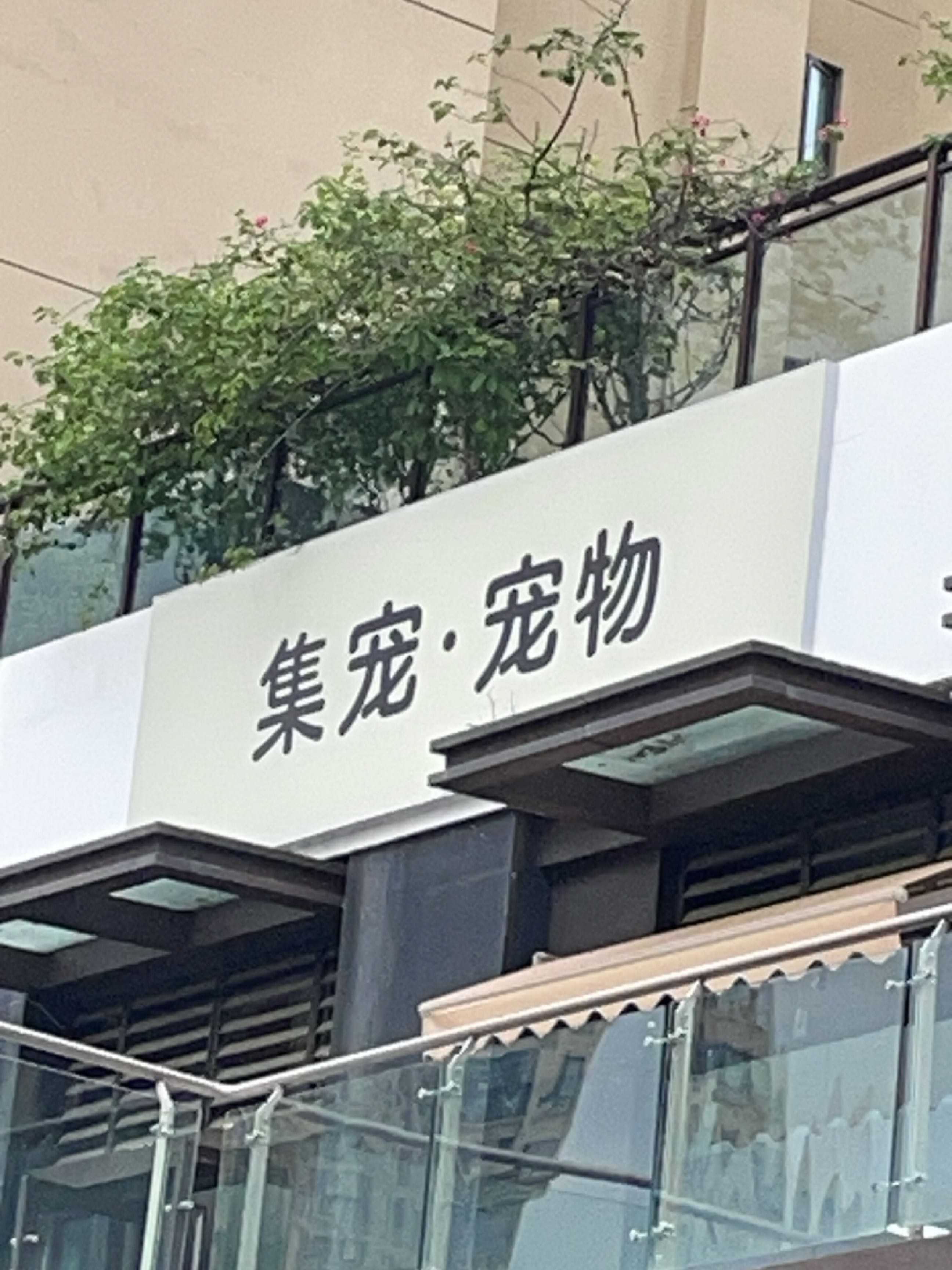 集宠·宠物