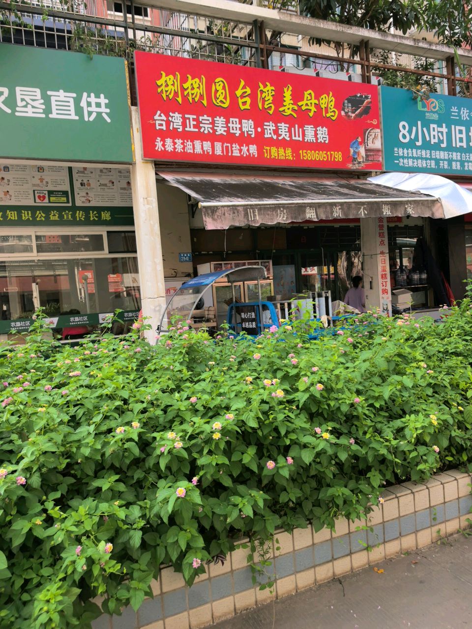 捌捌圆台湾正宗姜母鸭(五四北店)