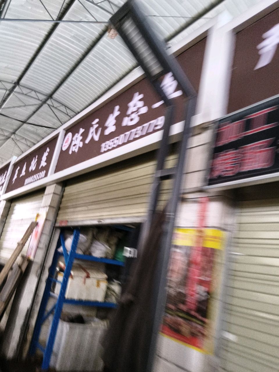 陈氏生态鱼批发零售
