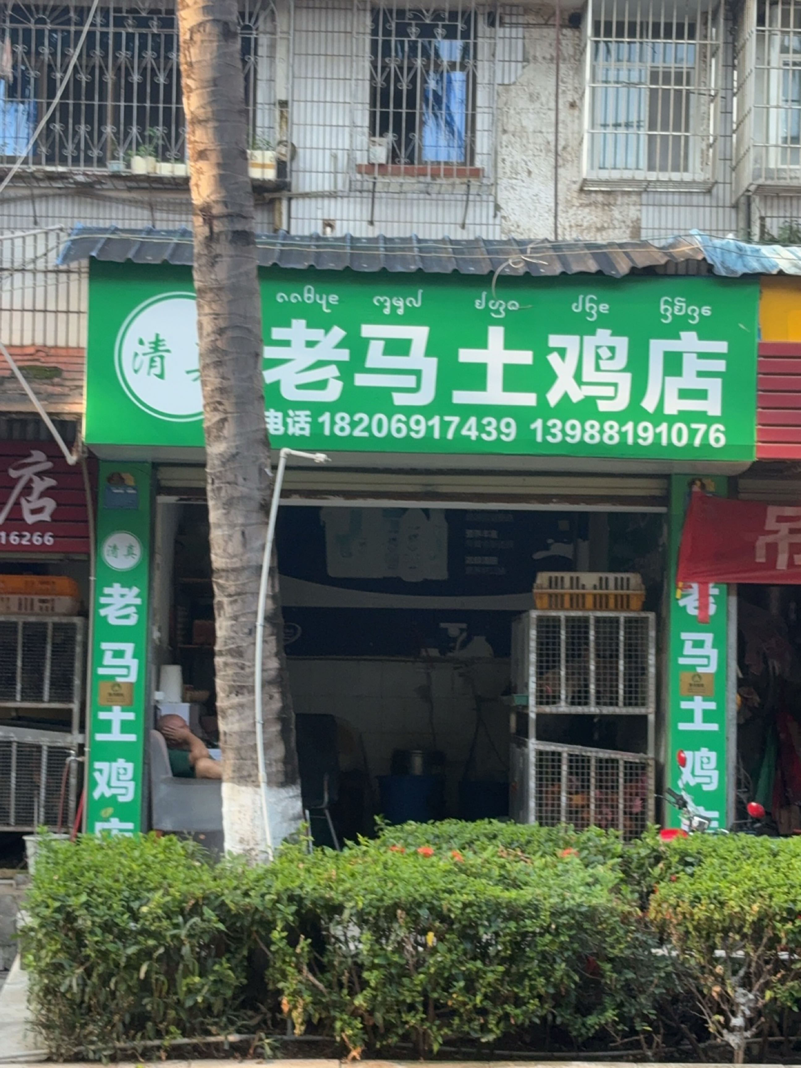 清真老马土鸡店