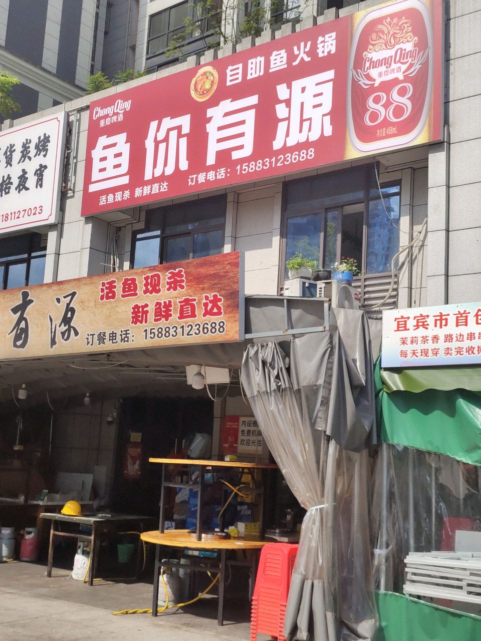 鱼你有源