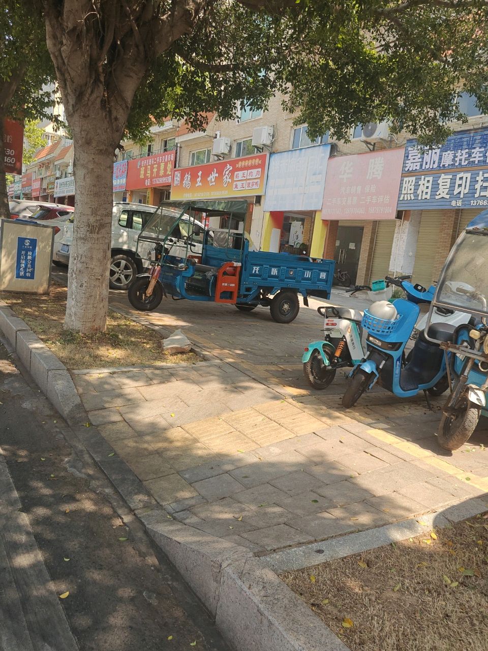 鹅王世家·十年地道鹅王(华坚店)