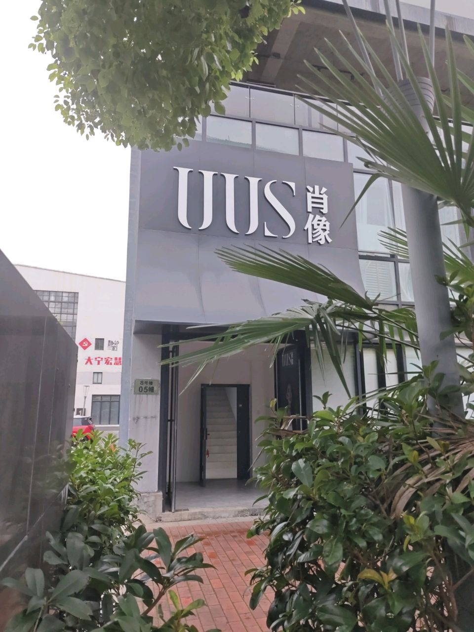 DINA肖像