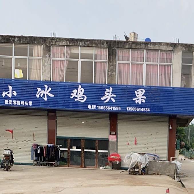 小冰鸡头果
