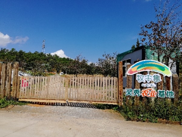 牧本集灵秀农业基地