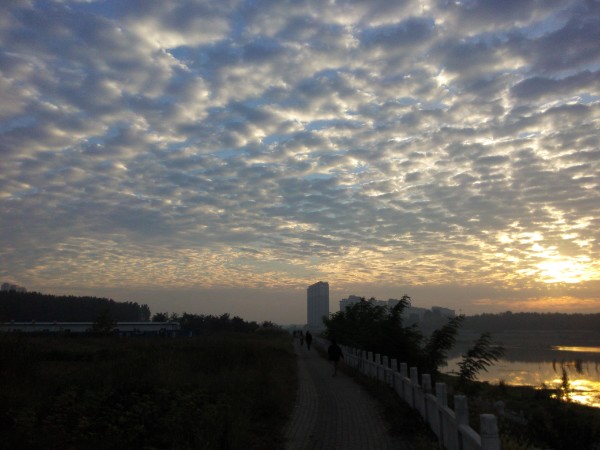 光山县朝阳寺大市场