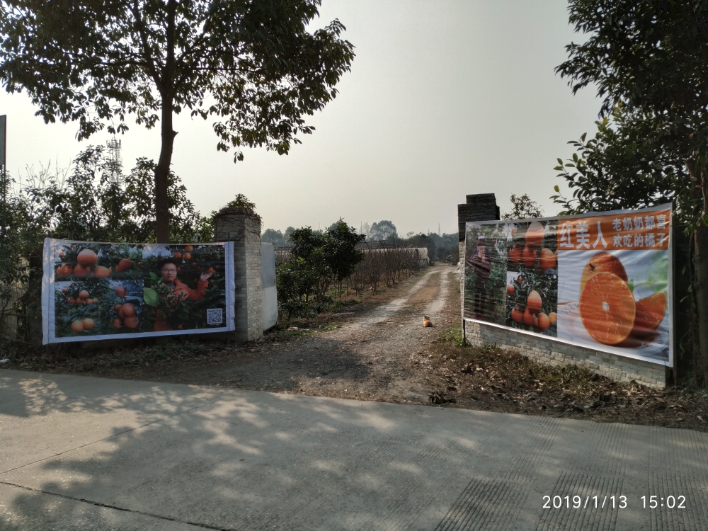 四川省成都市双流区金桥镇所有特殊区域