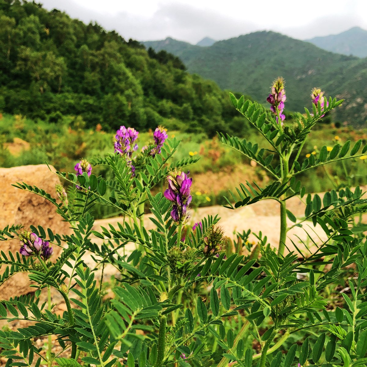 张家口市赤城县姜庄子村