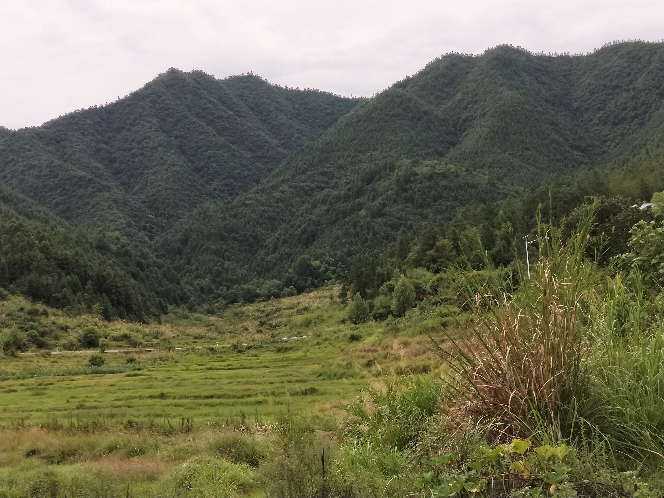 株洲市炎陵县零六七县道