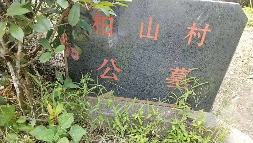 利辛縣西淝河濕地公園