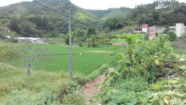 汕尾市陆河县