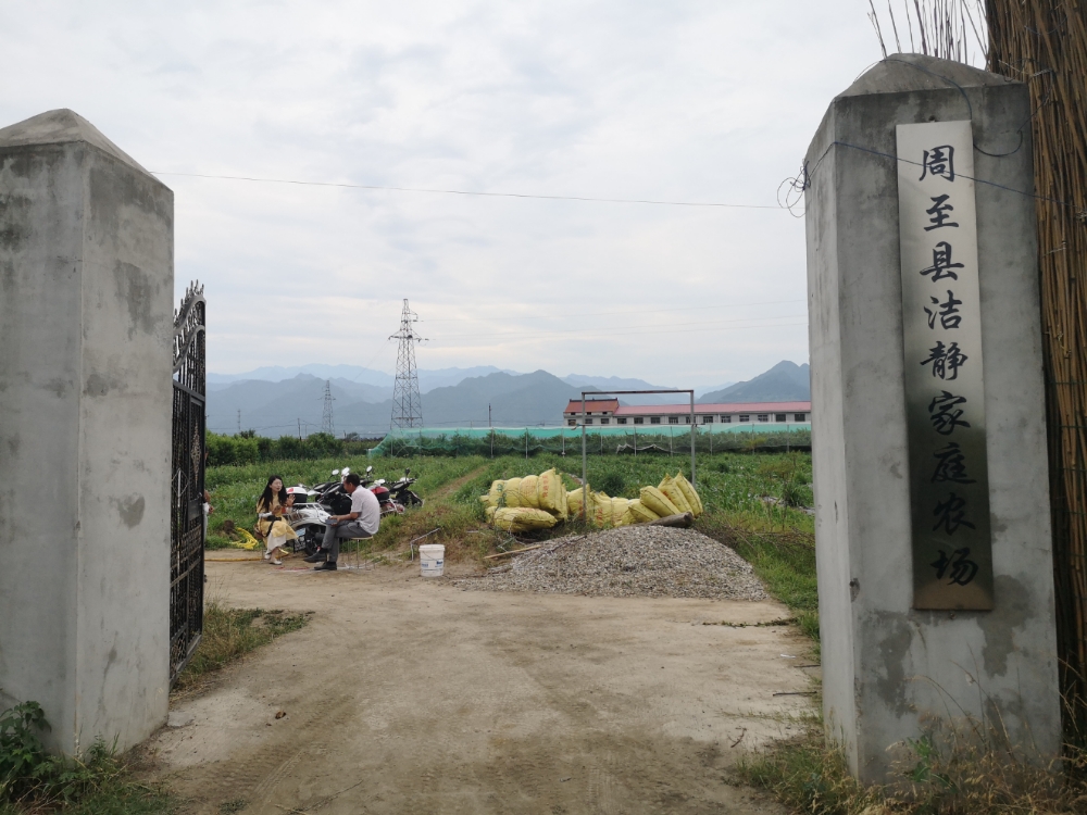 周至县洁静家庭农场